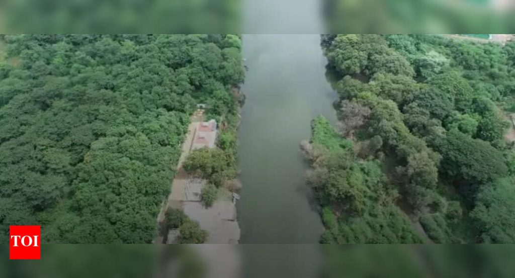 महा चीफ सिकी यांना एससी पॅनेलः पीएमसी, पीसीएमसीला सांगा, रिपरियन झोनमध्ये आरएफडीसाठी प्रस्तावित वृक्ष फेलिंग थांबवा
