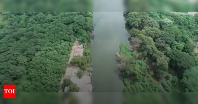 महा चीफ सिकी यांना एससी पॅनेलः पीएमसी, पीसीएमसीला सांगा, रिपरियन झोनमध्ये आरएफडीसाठी प्रस्तावित वृक्ष फेलिंग थांबवा