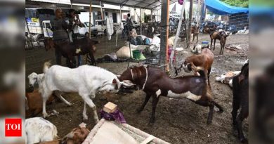 एमपीसीबीने पीसीबीला कत्तलखान्यात कत्तलखान्या बंद केल्याबद्दल नोटीस दिली आहे