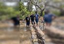 बोरी बंड प्रकल्प शेतक for ्यांसाठी ऑफ-सीझन वरदान ठरतो