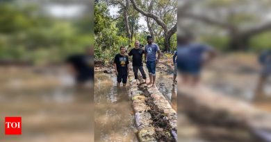 बोरी बंड प्रकल्प शेतक for ्यांसाठी ऑफ-सीझन वरदान ठरतो